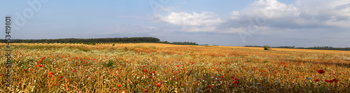 bl  hende Felder und landschaften