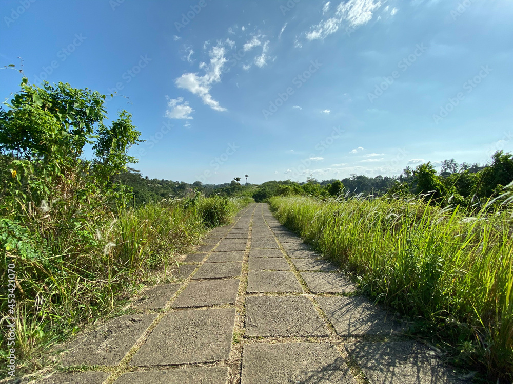 Beautiful Walking in Campuhan Ridge Walk, Bali Beautiful Walking in Campuhan Ridge Walk, Bali