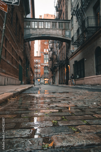 Staple Street Skybridge, NYC