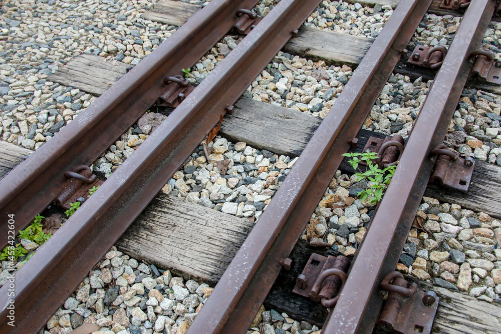 the Rail Corridor of Singapore close to Bukit Timah Forest Reserve. he railway line was used for commuting and transporting goods between Singapore and Malaysia. the Rail Corridor of Singapore close to Bukit Timah Forest Reserve. he railway line was used for commuting and transporting goods between Singapore and Malaysia.