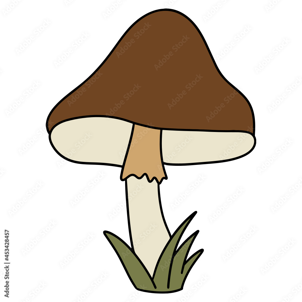 mushroom color design illustration for web, wedsite, application, presentation, Graphics design, branding, etc.