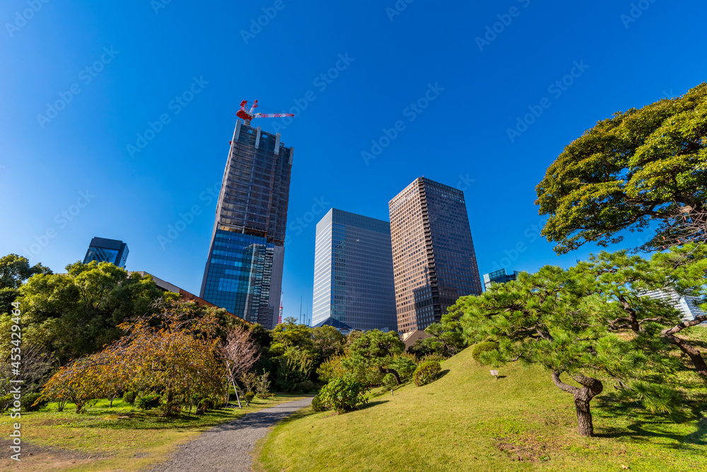 Fototapeta premium 旧芝離宮恩賜庭園と浜松町のオフィスビル群