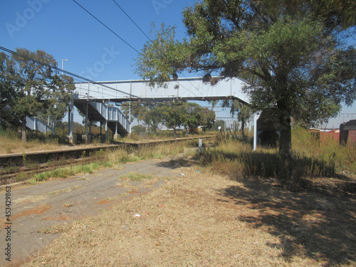 the rails are the only significant need for this derelict siding that has paved platforms where nobody walks or stands and only the freight trains that pass through are witness to the decay.