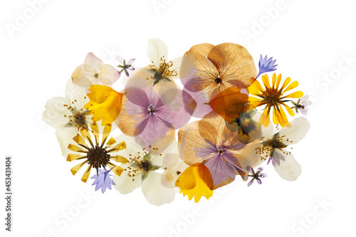 Fototapeta Naklejka Na Ścianę i Meble -  Pressed dried flowers on white background, top view. Beautiful herbarium