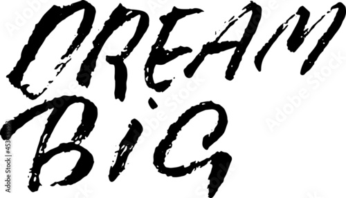 Dream big. Modern dry brush lettering. Vector handwritten illustration.