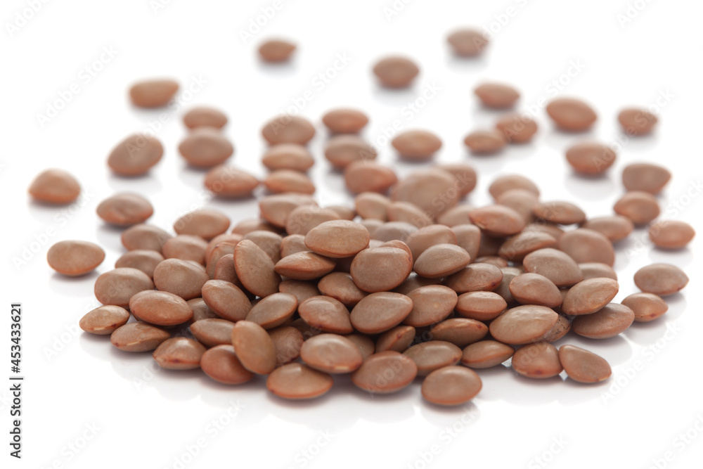 Micro close-up and details of brown organic Indian masoor dal or Lentil (Lens culinaris) whole Bean isolated over white background Micro close-up and details of brown organic Indian masoor dal or Lentil (Lens culinaris) whole Bean isolated over white background