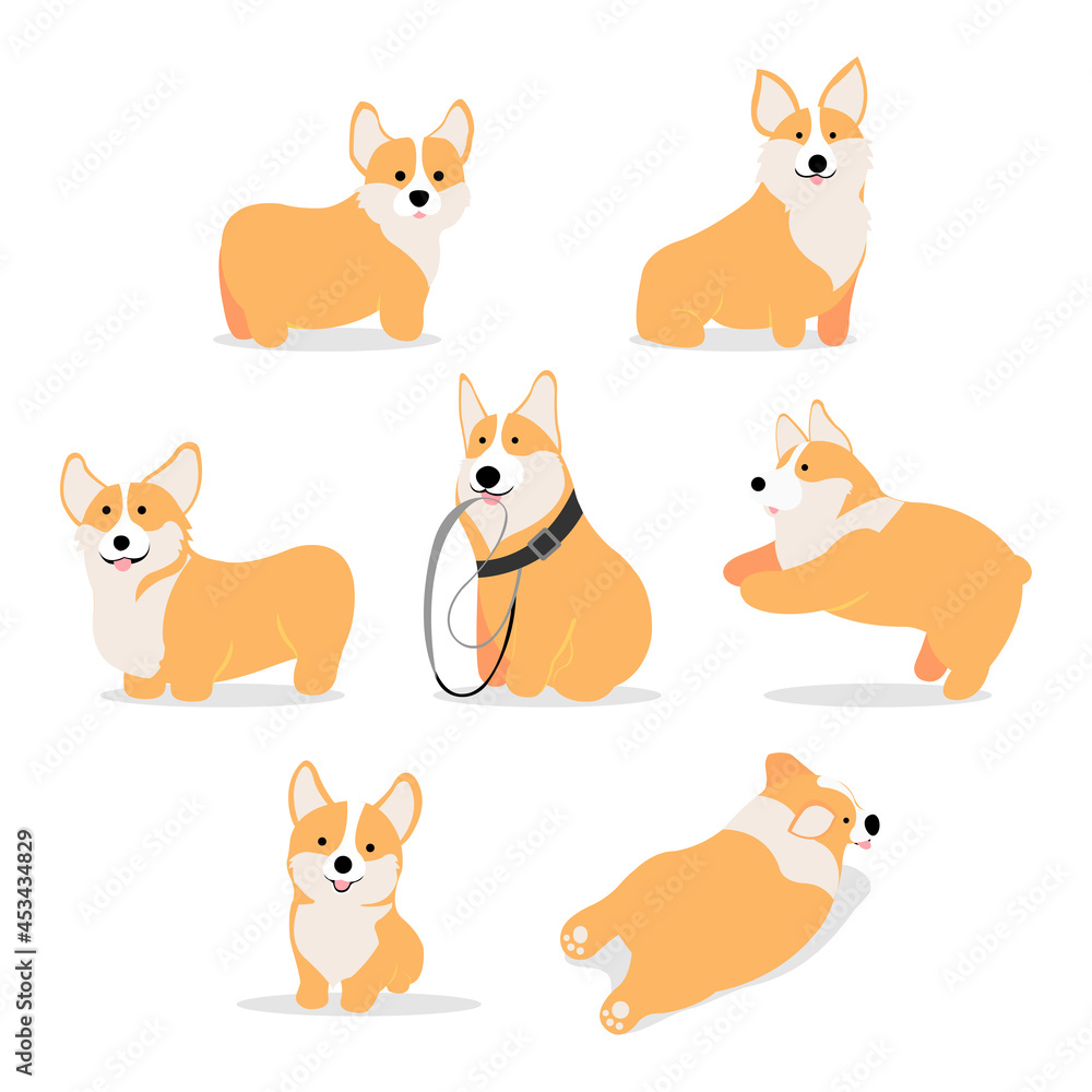 Cute corgi puppies isolated on white backgound Vector