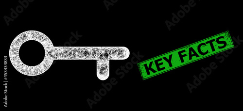 Flare net mesh key frame with lightspots, and green rectangle rubber Key Facts seal imitation. Illuminated vector mesh created from key icon and intersected white lines.