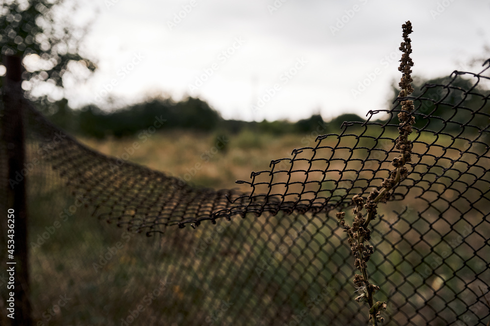 Old rusty fence made of mesh netting on the background of the field, the village Old rusty fence made of mesh netting on the background of the field, the village
