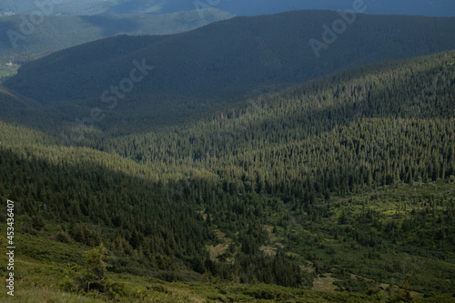 view on mountains forest