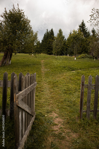 fence in the forest in the mountains