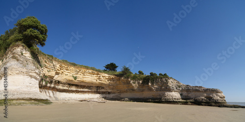 Grandes falaises de la plage des Vergnes de MESCHERS-SUR-GIRONDE  - 2021