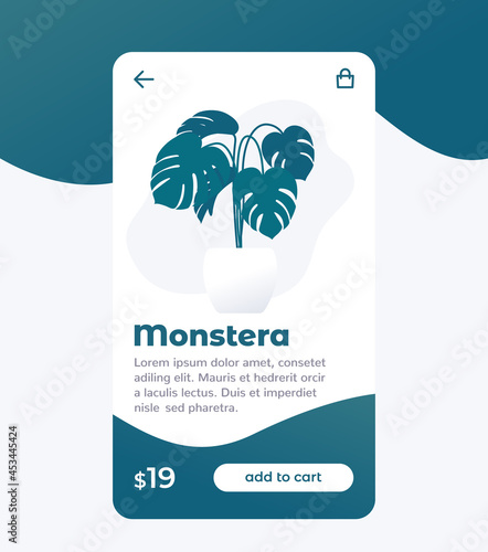 Monstera plant buy online, e-commerce and shopping mobile app design