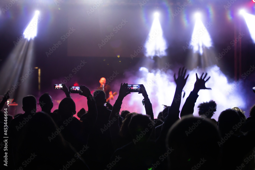 Crowd at concert - summer music festival