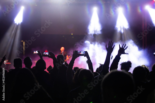 Crowd at concert - summer music festival © erika8213