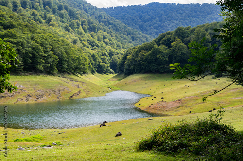 Embalse de Leurza, en Navarra
