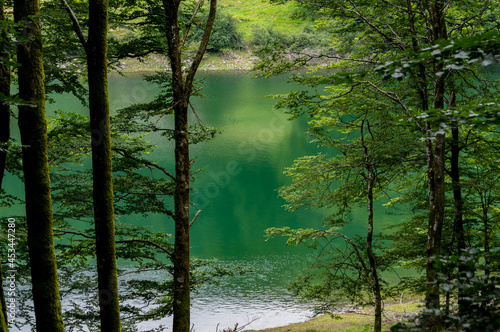 Embalse de Leurza, en Navarra