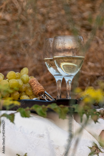 Wine glasses and grapes on wooden tray in nature, agricultural, viticultural concept