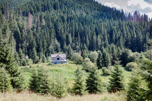 Old abandoned village house surrounded by green forest in the Carpathian mountains, Burkut, Ukraine