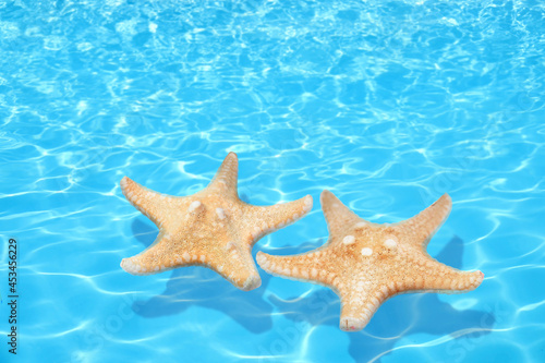 Beautiful sea stars on clear blue water