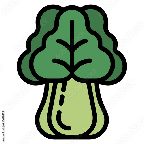 vegetable