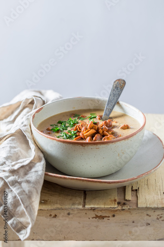 Tasty mushroom soup with parsley and cream. Creamy Boletus soup.