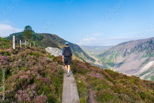Man hiking on a boardwalk up the hill on the Spinc trail, overlooking the Glenealo Valley, in Wicklow Mountains, Ireland.