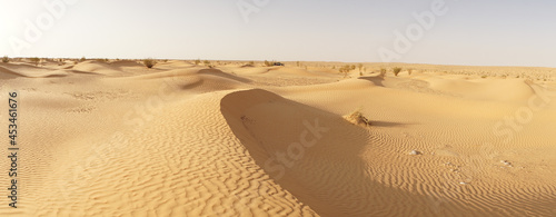 Wallpaper Mural Desert landscape with dunes in the Sahara Desert near Douz, Tunisia. Torontodigital.ca