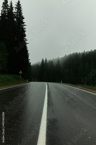 Wet asphalted slipping road. Autumn hilly landscape. Charming, mysterious road trip in mountain and pine forest area with fog getting up above green trees and conifers. Nobody around photo