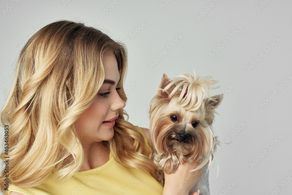 blonde in a yellow dress fun a small dog light background Studio blonde in a yellow dress fun a small dog light background Studio