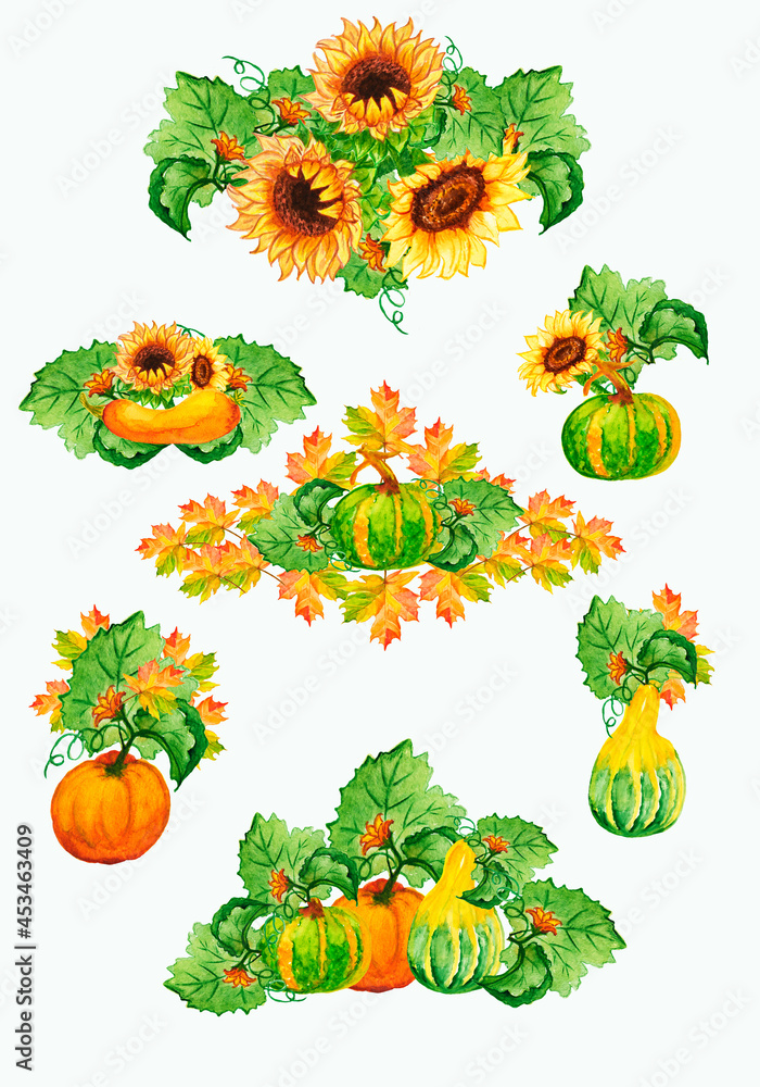Watercolor autumn sunflowers.orange pumpkin with green leaves, flowers with insects Butterfly, dragonfly, bee.A banner, a postcard with autumn leaves and a frame.Postcard, wedding, design.