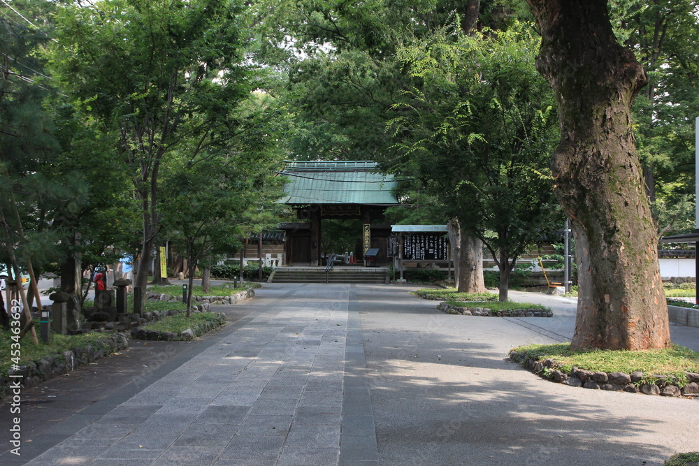 浄真寺（九品仏）。　東京・世田谷にある浄真寺は、９体の阿弥陀如来像が安置され、九品仏と呼ばれる。３００坪の境内には多くのお地蔵様とおカエデなどの木々で、森閑とした雰囲気。
