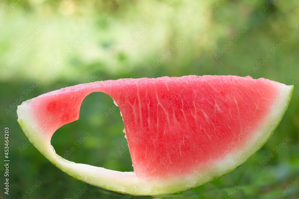 watermelon on green background watermelon on green background