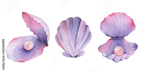 Watercolor Shell Set Collection of Underwater and sea tropical seashells