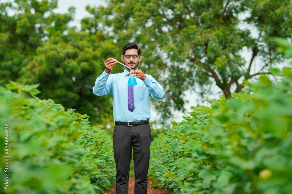 Young indian agronomist collecting sample at agriculture field. Young indian agronomist collecting sample at agriculture field.