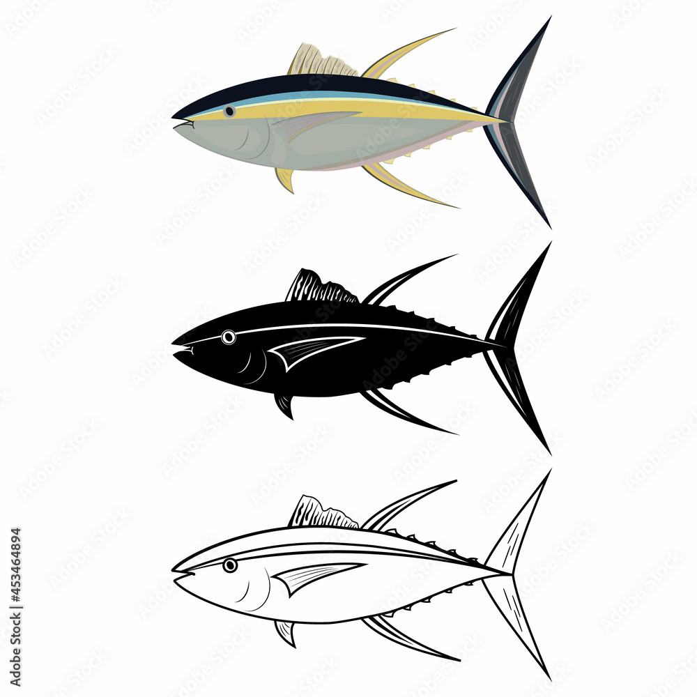 Fototapeta premium tuna fish in color, outline and stencil, color vector illustration