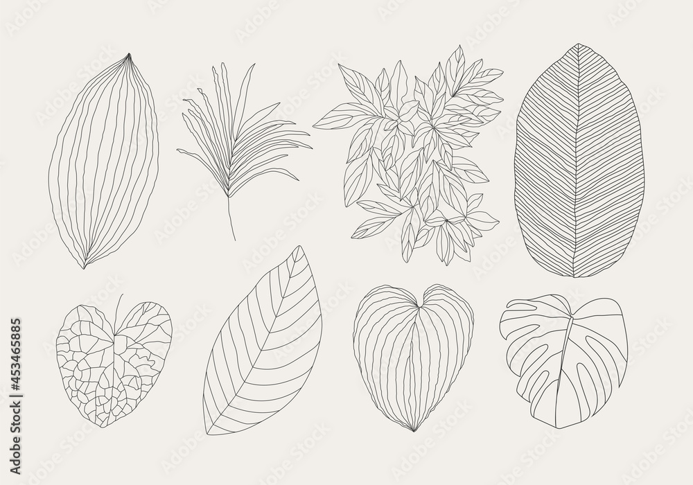 Minimalist botanical line art leaves elements for abstract collage Minimalist botanical line art leaves elements for abstract collage