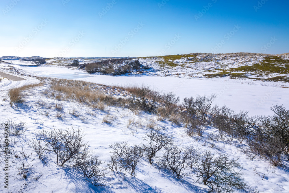 Snowy and ice winter landscape at the Amsterdamse Waterleidingduinen Snowy and ice winter landscape at the Amsterdamse Waterleidingduinen