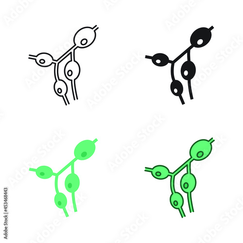Size increase of the lymph nodes, lympho nodus gland. Medical symptoms of lymphoma, lymphadenopathy part of circulatory system. Lymph nodes icon. Vector illustration. Design on white background. EPS10 photo