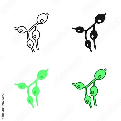 Size increase of the lymph nodes, lympho nodus gland. Medical symptoms of lymphoma, lymphadenopathy part of circulatory system. Lymph nodes icon. Vector illustration. Design on white background. EPS10