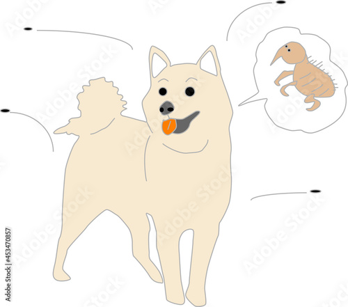 可愛い犬に寄生するノミ
