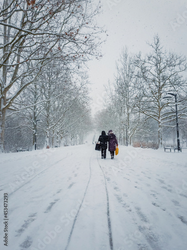 Two middle age women carrying pouches walks through the snowfall alongside the alley in the winter park. Wonderful snowing scene on the street. Cold season beauty. Blizzard in the city square