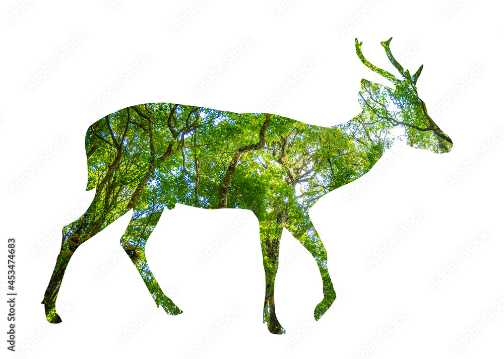 Obraz premium World Wildlife Day forest silhouette in the shape of a wild animal wildlife and forest conservation concept
