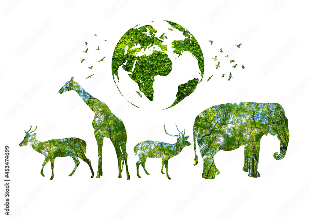 World Wildlife Day forest silhouette in the shape of a wild animal wildlife  and forest conservation concept Stock Photo | Adobe Stock