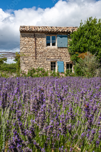 A small old house on the lavender field. Lavender fields, Provence, France.