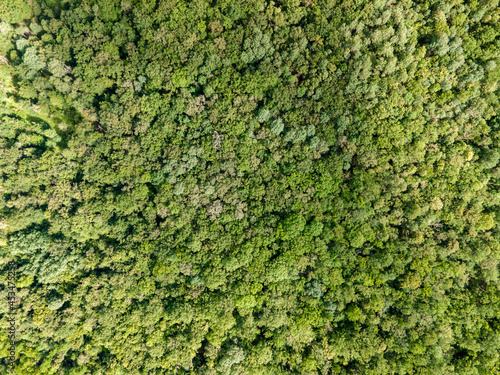 Aerial view of the canopy of Touraine, Loire Valley, France © chromoprisme