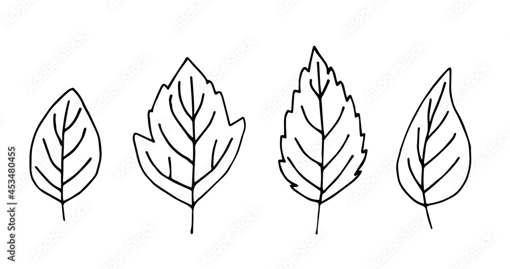 Patterned leaves of deciduous trees. Simple hand-drawn vector graphics in black outline. A set of foliage of different shapes. For seasonal design.