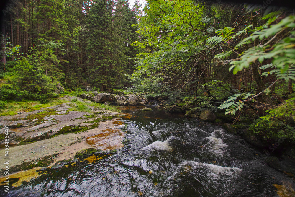 Riverhead of Elbe river in Giant mountains and coats of arms of towns along this river, national park Krkonose in the Czech Republic Riverhead of Elbe river in Giant mountains and coats of arms of towns along this river, national park Krkonose in the Czech Republic