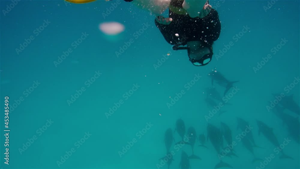 Underwater shooting of girl diving next to dolphins. Young woman in