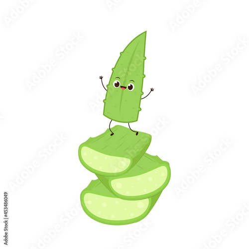 Aloe character design. Aloe cartoon vector. Aloe on white background.